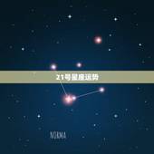 21号星座运势，农历1990年12月21号什么星座一生运势