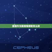 属相牛与属相兔婚配怎么样，属牛的和属兔的配吗 详细