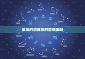 属兔的和属猪的能婚配吗，属猪的和属兔的在一起属相配吗