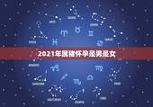 2021年属猪怀孕是男是女，7|年属猪女2021年的每月运势
