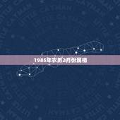 1985年农历2月份属相，我是农历1985年2月6日，出生的，想问一下
