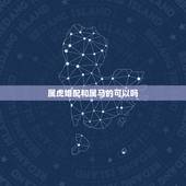 属虎婚配和属马的可以吗，属虎人和属马人的婚配与命运