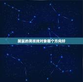 属鼠的男孩找对象哪个方向好，属鼠的男孩，找属什么的女孩好，