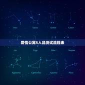 爱情公寓5人品测试流程表，《爱情公寓5》的新人都有哪些精彩表现？