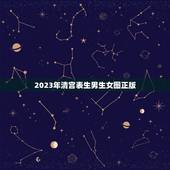 2023年清宫表生男生女图正版，清宫表2023生男生女图你们了解吗？