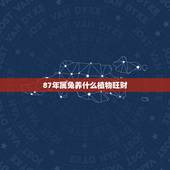 87年属兔养什么植物旺财，属兔的养什么植物旺财