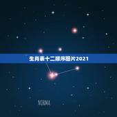 生肖表十二顺序图片2021，2021年十二生肖排码表