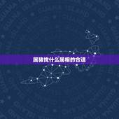 属猪找什么属相的合适，属猪的适合找个什么属相结婚