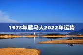 1978年属马人2022年运势，78年属马何时走大运