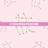 01年出生男和00年出生女婚配，2001年属蛇的婚配
