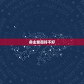 命主紫薇好不好，我的命宫主星是**天相 这个命宫主星好还是不好？