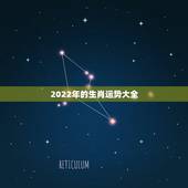 2022年的生肖运势大全，2022年运势更好的4生肖