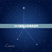 1975属兔46岁每月运气，我属兔的今年46岁我的命运是什么命？