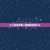 十二生肖中第二属相好的是什么，十二生肖排第二是哪个生肖