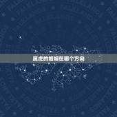 属虎的婚姻在哪个方向，属与属虎的婚姻如何