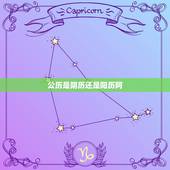 公历是阴历还是阳历阿，公历属于阴历还是阳历