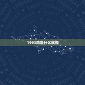 1993鸡是什么属相，1993年的鸡男和1992年的猴女合婚吗？属相相
