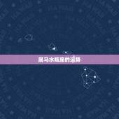 属马水瓶座的运势，属马的水瓶座今年运势如何？