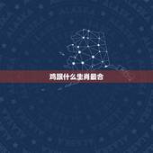 鸡跟什么生肖最合，属鸡的三大忌配生肖