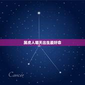 属虎人哪天出生最好命，属虎几日出生的命好