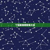 丫鬟属相婚配表大全，红楼梦中一些丫鬟的结局
