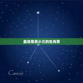 最容易养小三的生肖男，最容易被女人骗的生肖男有哪几个？