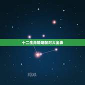 十二生肖婚姻配对大全表，12属相婚配表