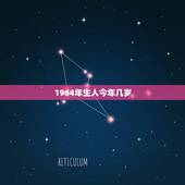 1964年生人今年几岁，64年属龙会有几段婚姻