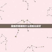 属猴的婚姻和什么搭配比较好，属猴和属猪配婚姻吗？