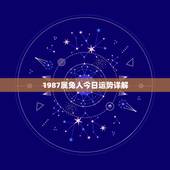 1987属兔人今日运势详解，属兔今日运势每日运程