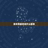 属羊男最忌讳什么属相，属羊男的跟什么属相配