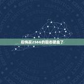 后悔买256G的固态硬盘了，我想买一个256g的固态硬盘，要什么的好？