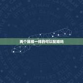 两个属相一样的可以配婚吗，属相相同婚配可以吗？