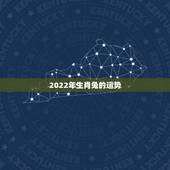 2022年生肖兔的运势，属兔2022年运势完整版