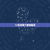 12生肖哪个属相最浪，十二生肖中哪个属相最好
