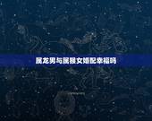 属龙男与属猴女婚配幸福吗，属相婚配：男属龙和女属猴相配吗
