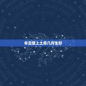 辛丑壁上土命几月生好，辛丑日哪月是贵命
