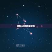 属鼠和属羊相克吗，男羊女鼠真的不能在一起吗