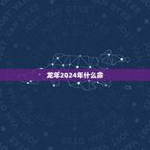 龙年2024年什么命，2024年属什么生肖