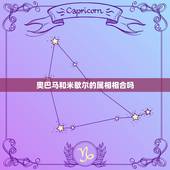 奥巴马和米歇尔的属相相合吗，米歇尔.奥巴马英文简介