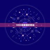 1995年属猪的财运，1995年属猪的人2019年运势及运程