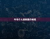 午马个人资料简介枪花，枪花电视剧全集32超清