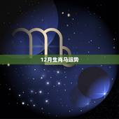 12月生肖马运势，十二生肖马的运势
