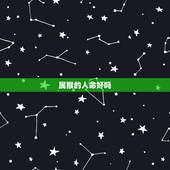 属猴的人命好吗，2016属猴的命好不好