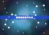 属相婚配有何玄机，此图有何玄机？