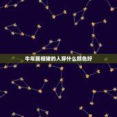 牛年属相猪的人穿什么颜色好，属猪的属相配什么属相