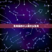 生肖鼠的小人是什么生肖，枉作小人打一生肖