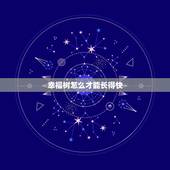 幸福树怎么才能长得快，幸福树一直长高，但不粗壮怎么办？