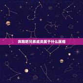 奔跑吧兄弟成员属于什么属相，奔跑吧兄弟里的成员年龄各多少岁？