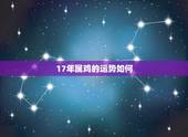 17年属鸡的运势如何，属鸡在2O17年的运势？